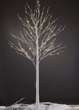 Lighted Christmas Tree Xmas