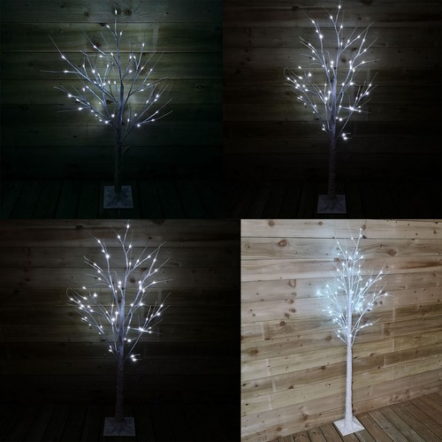 Choice size indoor - choice,