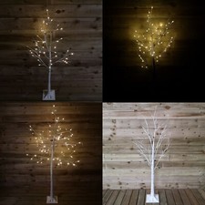 Choice of Size - Indoor